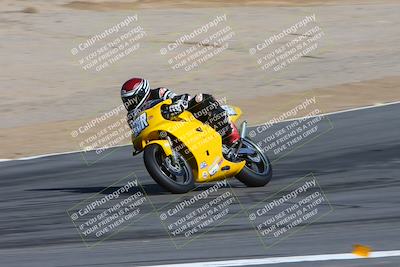 media/Feb-04-2024-SoCal Trackdays (Sun) [[91d6515b1d]]/4-Bowl Backside (11am)/